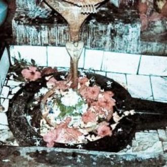 ଦେଖନ୍ତୁ