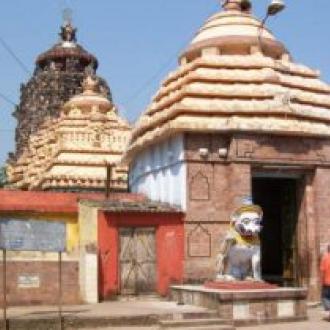 ଦେଖନ୍ତୁ